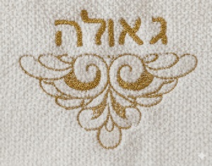רקמת HD במסגרת